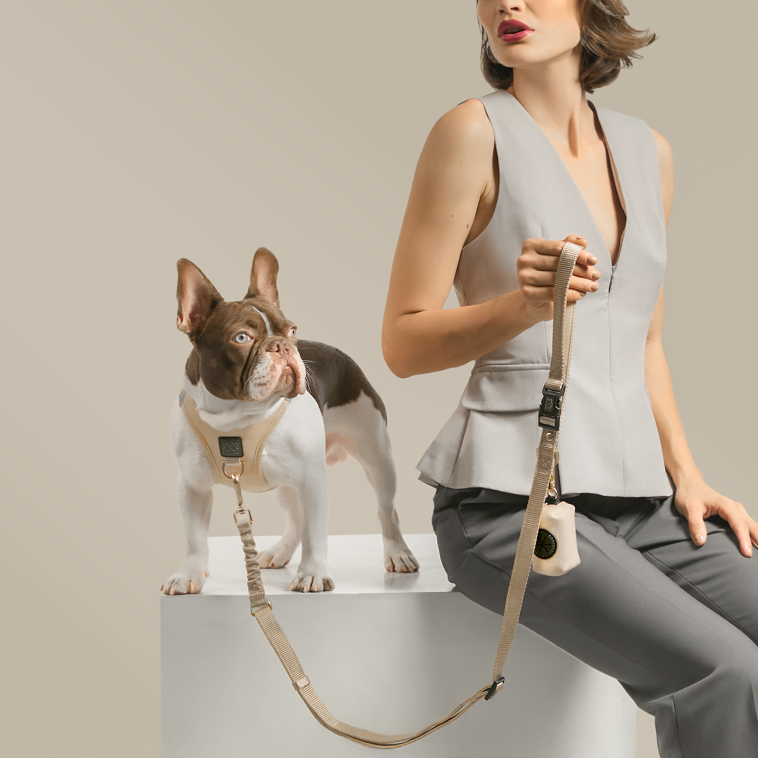 Harness - Step-In SoHo Dog Harness - Dune