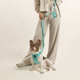 Leashes - Secure-In-Place 3-in-1 City Dog Leash - Fifth Avenue