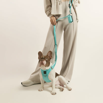 Leashes - Secure-In-Place 3-in-1 City Dog Leash - Fifth Avenue