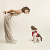 Harness - Step-In SoHo Dog Harness - Iconic Red