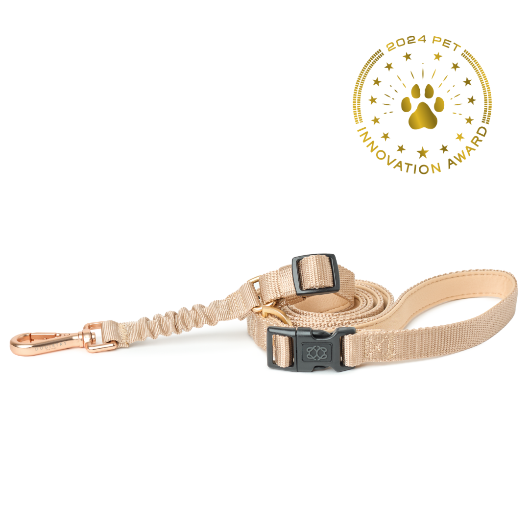 3-in-1 City Dog Leash - Dune