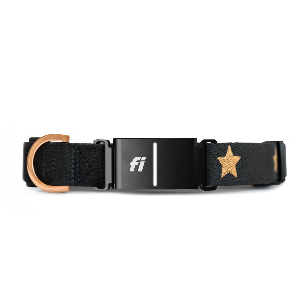 Collars - Adjustable The DOGISTRY x Fi Rockstar 3+ Collar Band