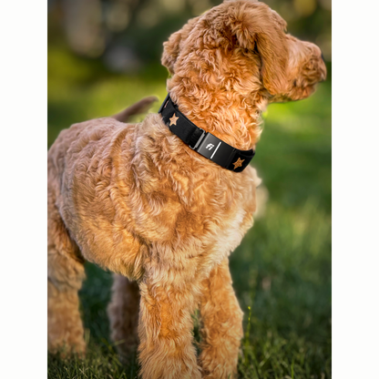 Collars - Adjustable The DOGISTRY x Fi Rockstar 3+ Collar Band