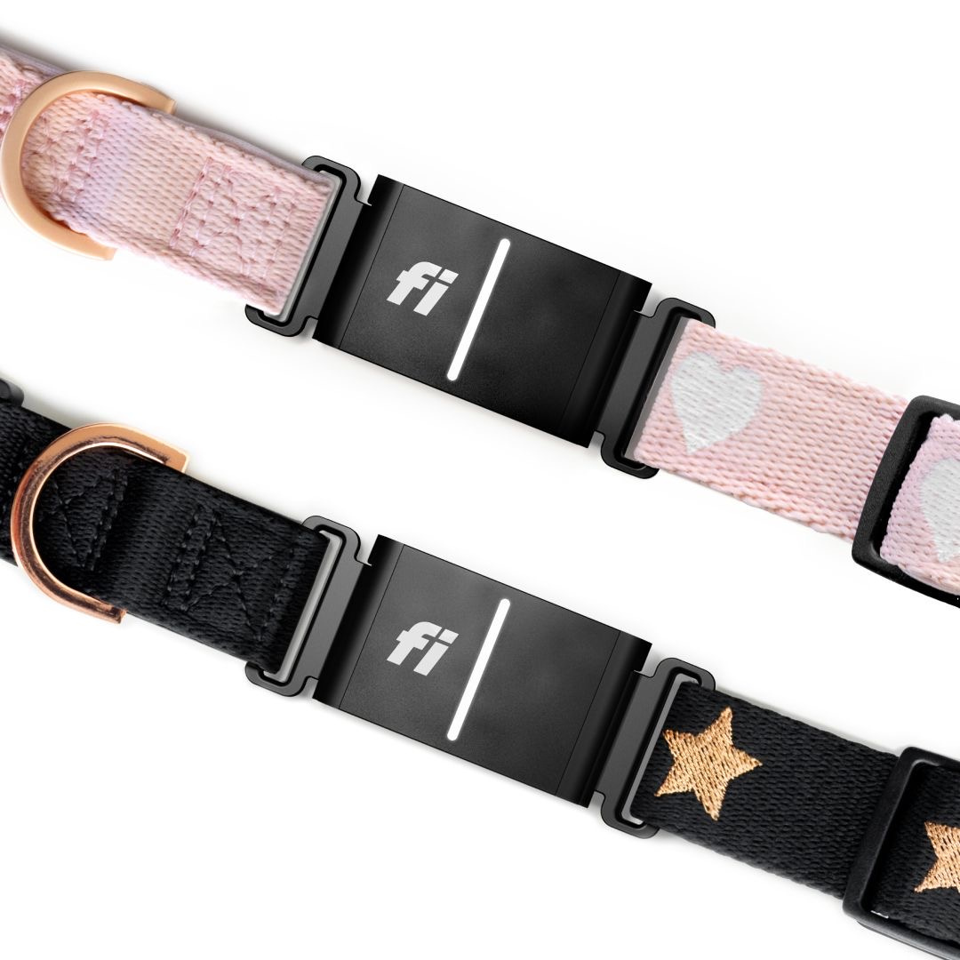 Collars - Adjustable The DOGISTRY x Fi Rockstar 3+ Collar Band