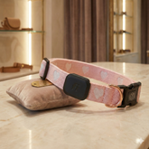 Pet Collars & Harnesses City Collar - Sweetheart