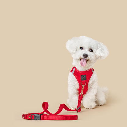 Leashes - Secure-In-Place 3-in-1 City Dog Leash - Iconic Red