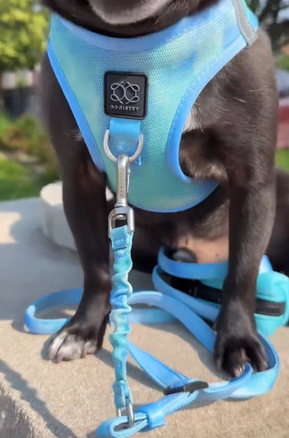 Summer AIR Harness - Ocean