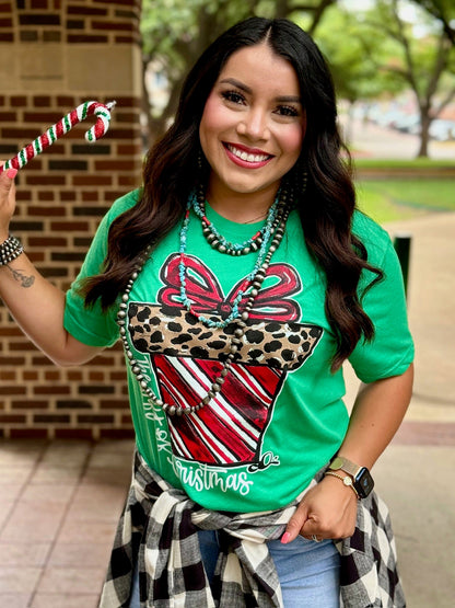 Callie Ann Stelter Candy Cane Present Tee &amp; Sweatshirt