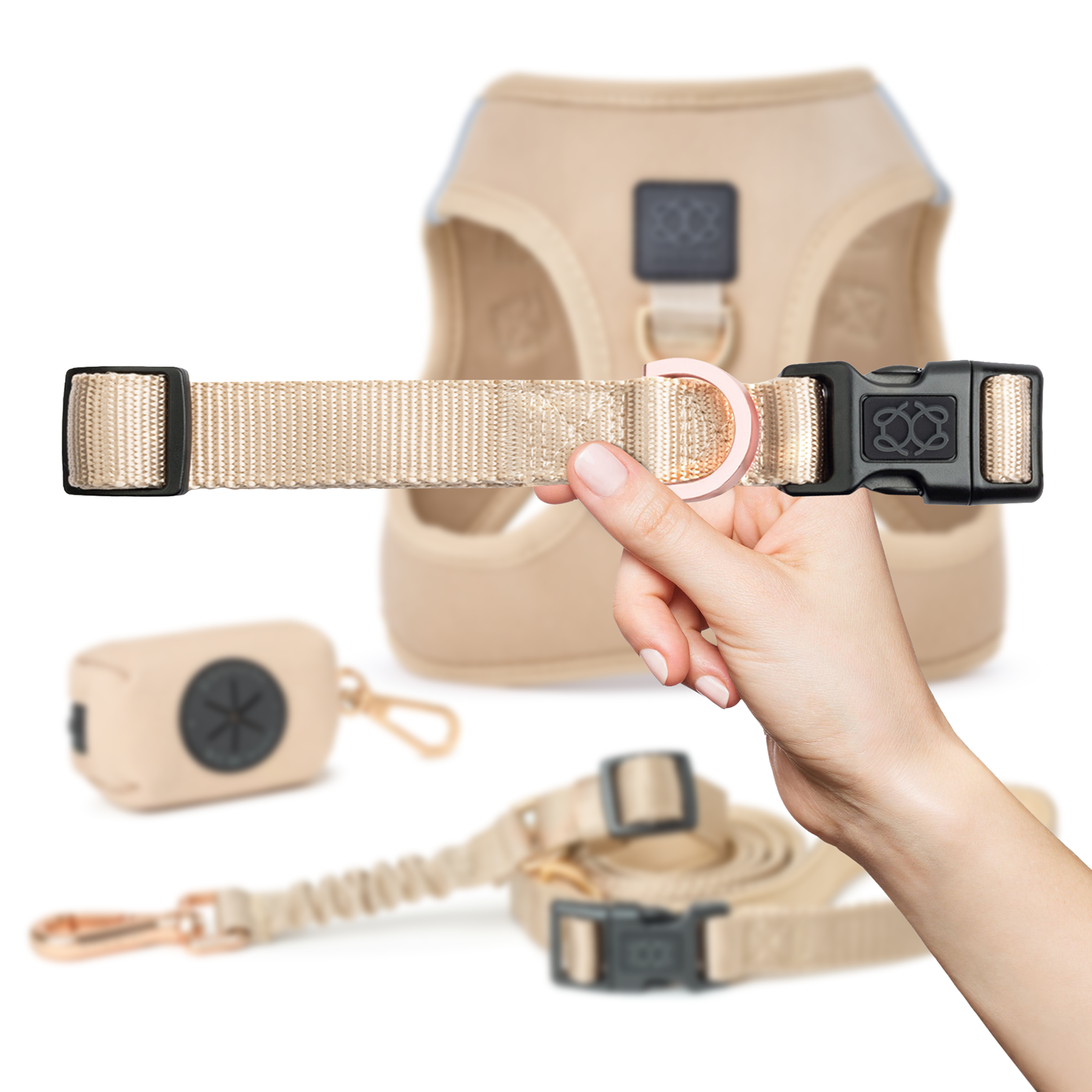 Pet Collars &amp; Harnesses City Collar - Dune