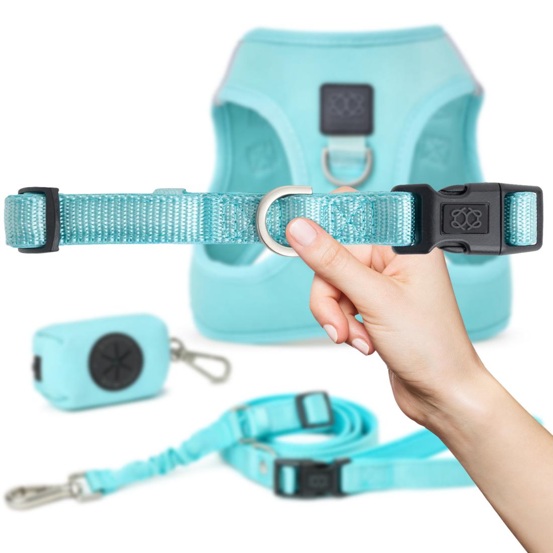 Pet Collars &amp; Harnesses City Collar - Fifth Avenue