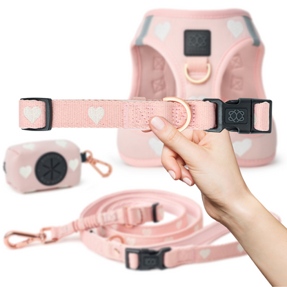 Pet Collars &amp; Harnesses City Collar - Sweetheart