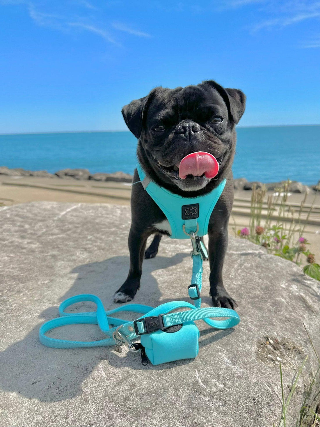 Poop Bag Holder - Fifth Avenue