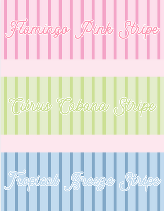 Jewelry Case | Customizable