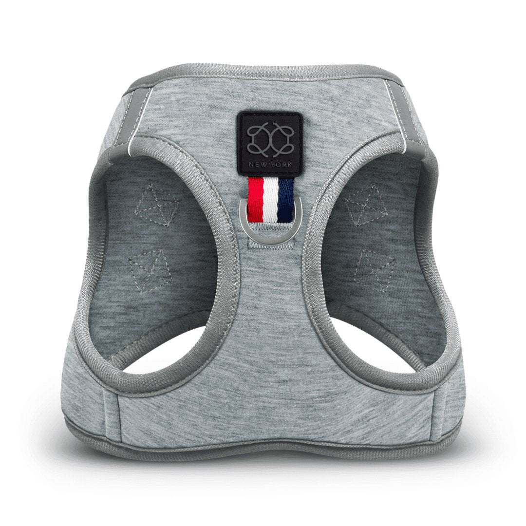 SoHo Dog Harness - Champion
