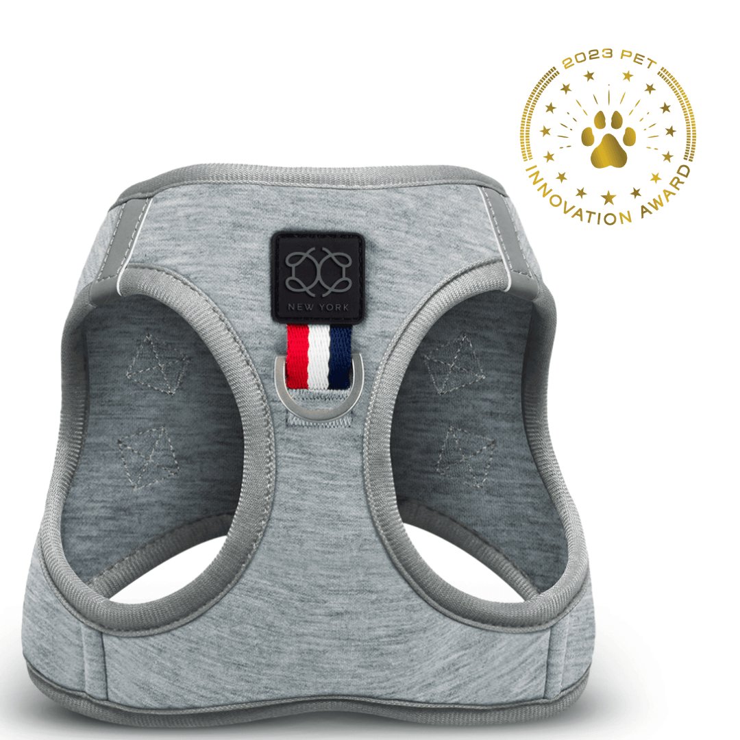 SoHo Dog Harness - Champion