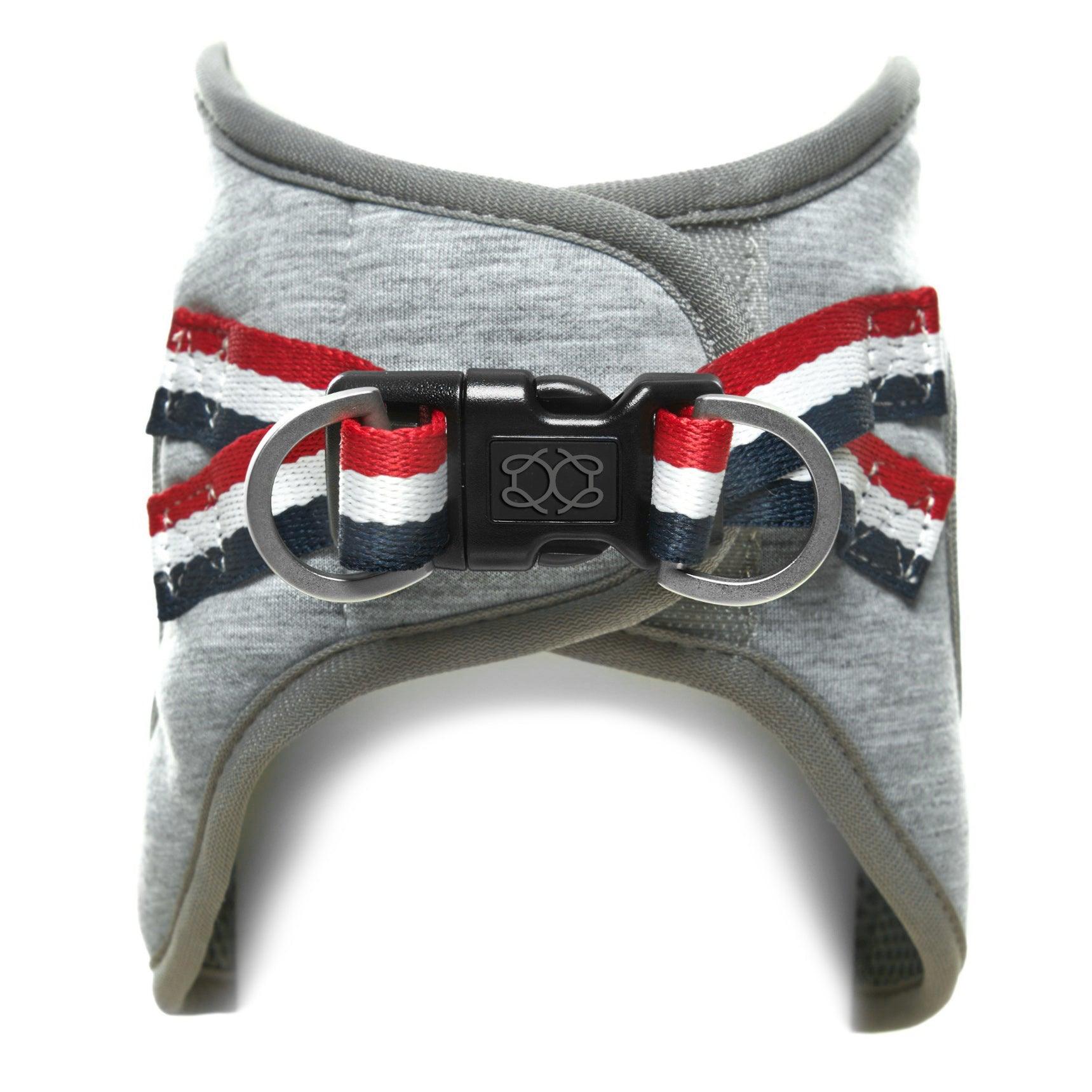 SoHo Dog Harness - Champion