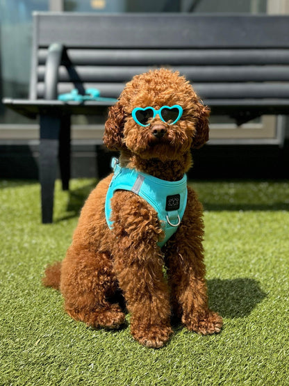 Harness - Step-In SoHo Dog Harness - Fifth Avenue