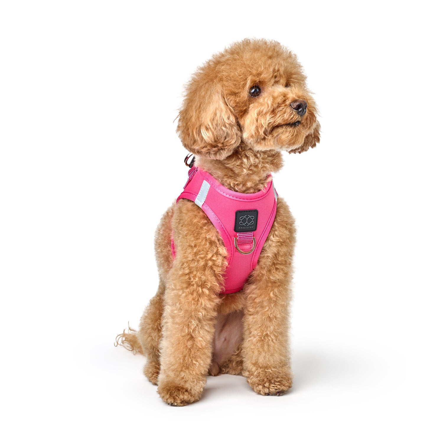 SoHo Dog Harness - Park Ave Pink
