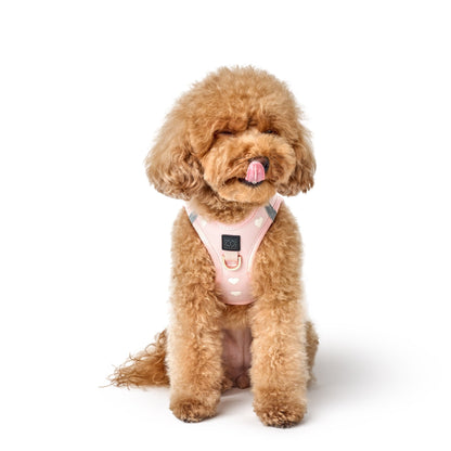 Harness - Step-In SoHo Dog Harness - Sweetheart