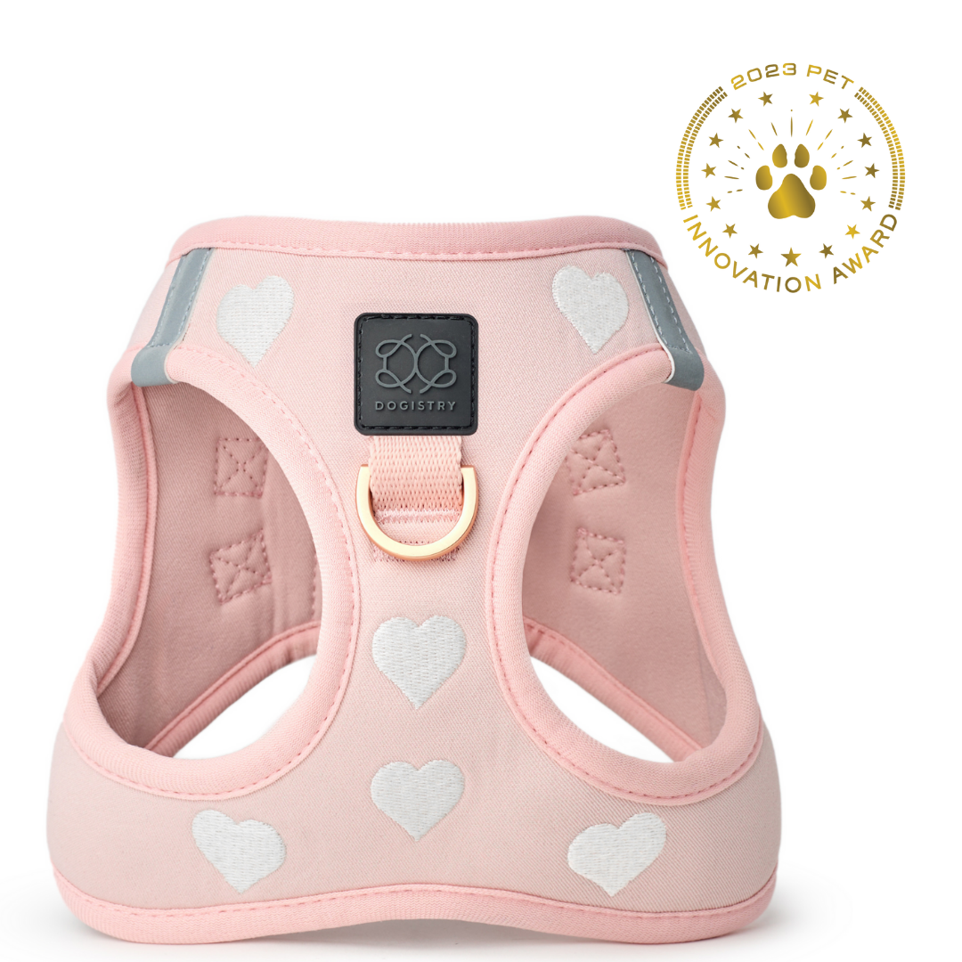 SoHo Dog Harness - Sweetheart