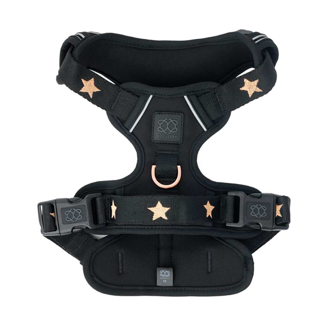 Harness Gift Set The NoMad Adjustable Luxe Harness - Rockstar