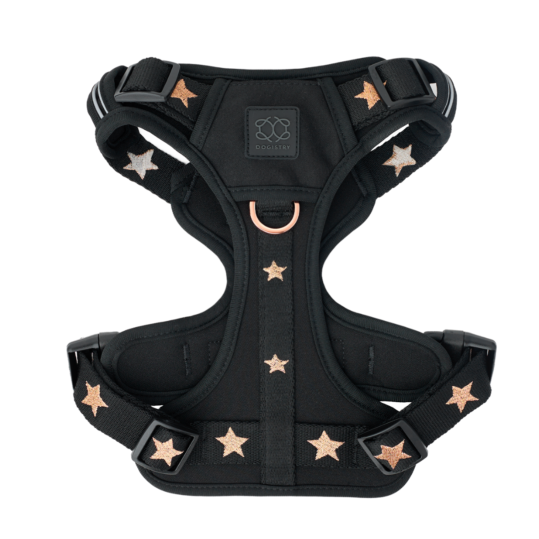 Harness Gift Set The NoMad Adjustable Luxe Harness - Rockstar