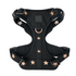 Harness Gift Set The NoMad Adjustable Luxe Harness - Rockstar