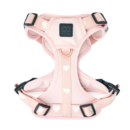 Harness Gift Set The NoMad Adjustable Luxe Harness - Sweetheart