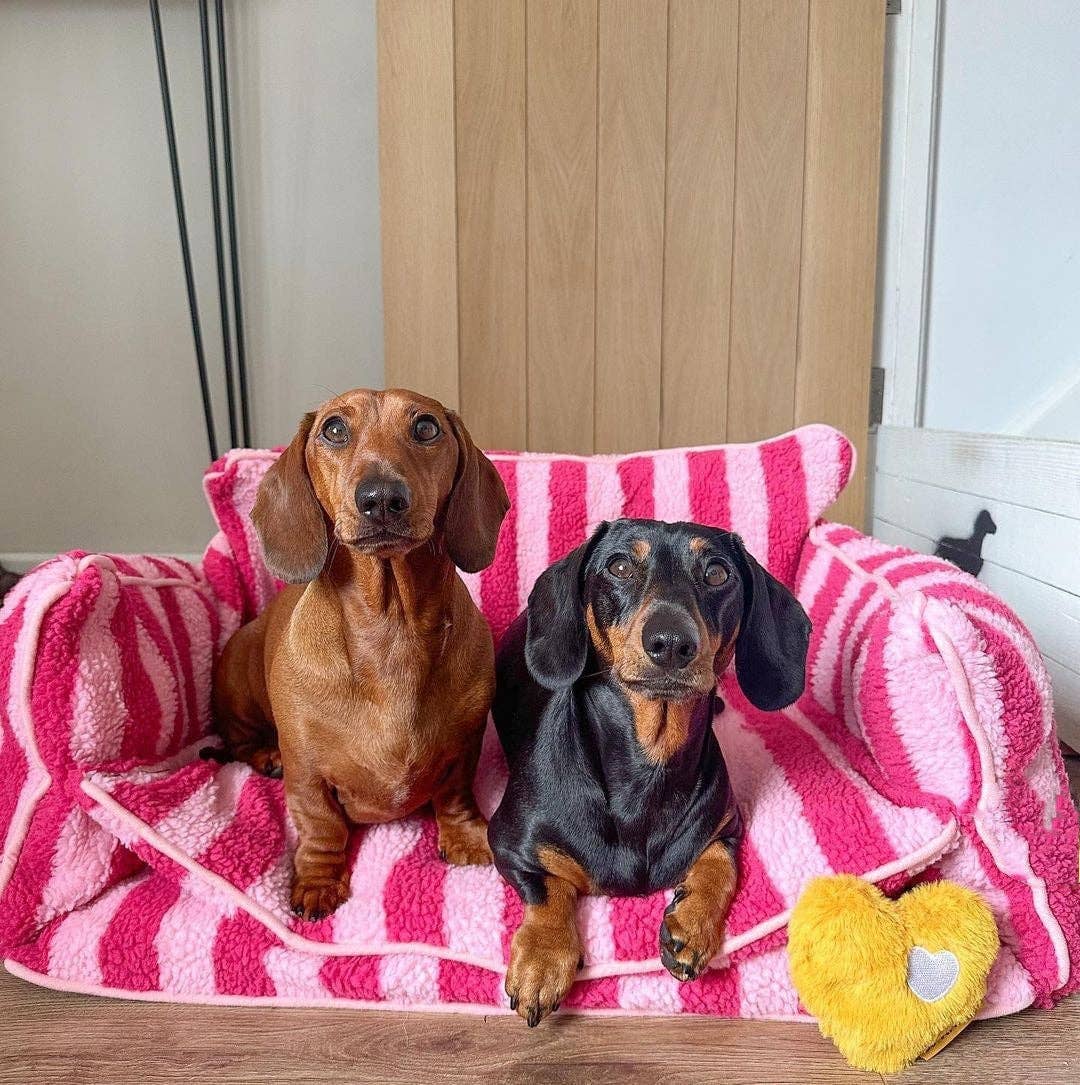 Pretty Pink Striped Dog Bed