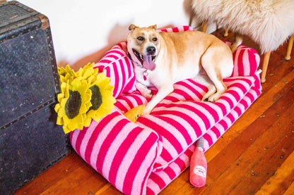 Pretty Pink Striped Dog Bed