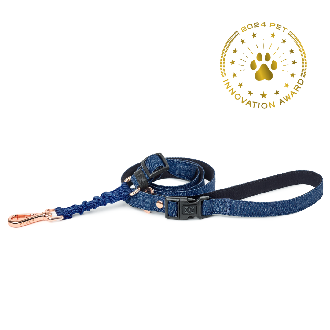 3-in-1 City Dog Leash - Denim