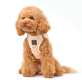 Harness - Step-In SoHo Dog Harness - Dune