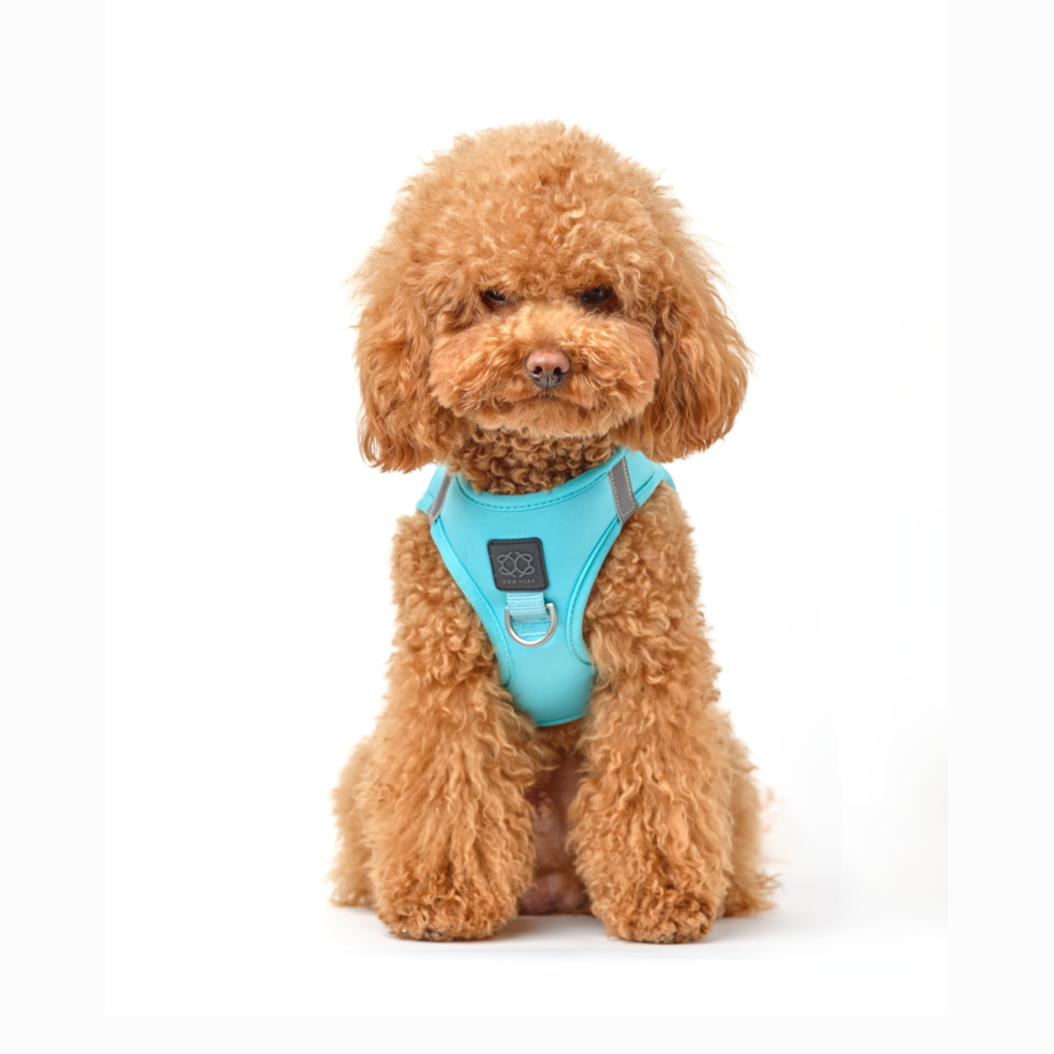 Harness - Step-In SoHo Dog Harness - Fifth Avenue