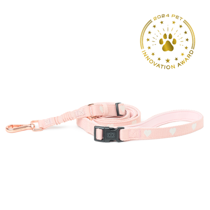 3-in-1 City Dog Leash - Sweetheart