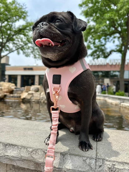 3-in-1 City Dog Leash - Sweetheart