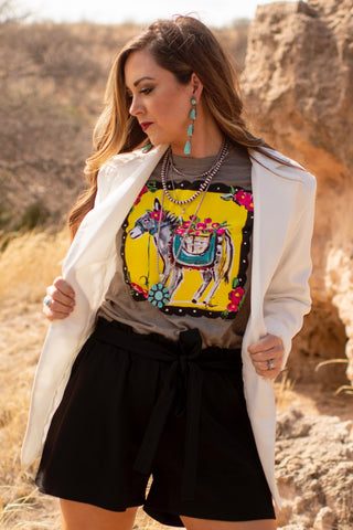 Callie Ann Stelter Hand Painted Burro