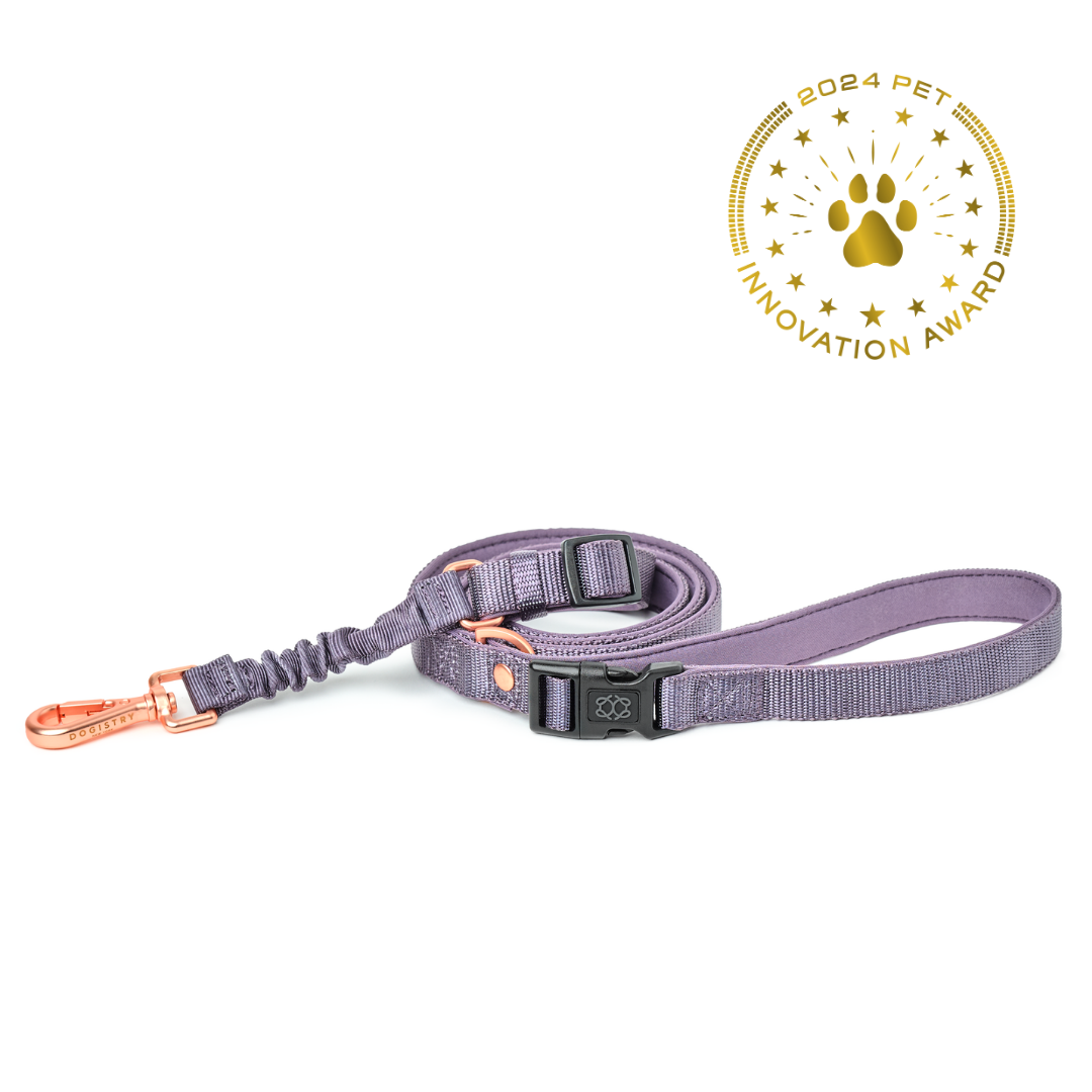 3-in-1 City Dog Leash - Lilac Gray