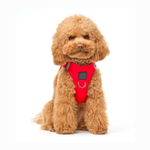 Harness - Step-In SoHo Dog Harness - Iconic Red